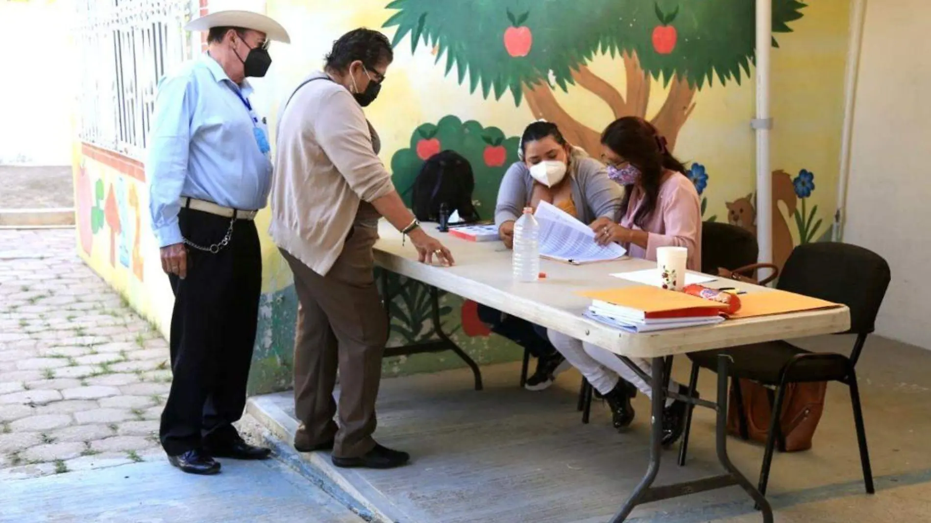 Consulta ciudadana delegados Los Cabos